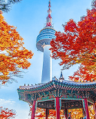 Confidence in Advice